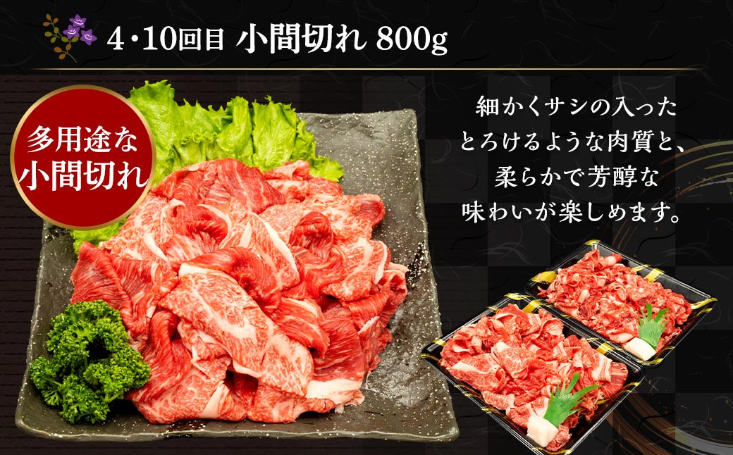 【12ヶ月定期便】 熊本県産 A5等級 黒毛和牛 和王 食べ比べ 合計約8kg 牛肉 セット