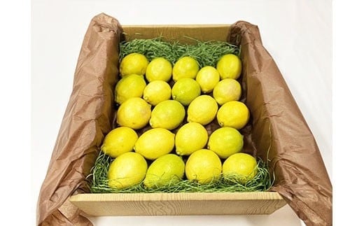 環境マイスターのレモン 3kg
