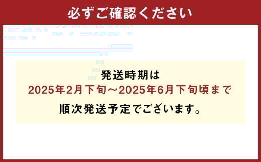 パクパクデコ 約3.5kg 訳あり 大玉 【2025年2月下旬～6月下旬発送】
