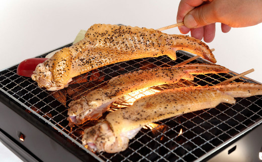 【アウトドアセット】 天草大王 幻の鶏 キャンプ BBQ 骨付きもも肉 (500g) 大手羽先 ソーセージ ブツ切りミックス 計約 1.1kg