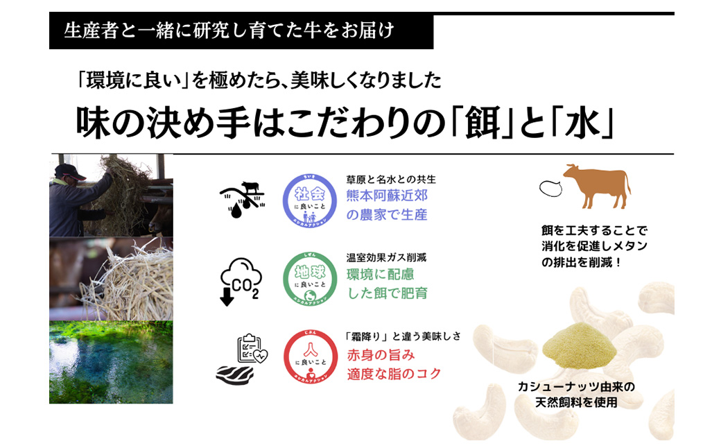 【エシカル和牛】あか牛の極み・焼しゃぶセット 計約800g 赤牛 あか牛 牛肉