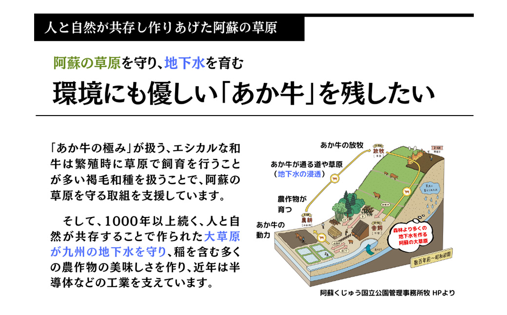 【エシカル和牛】あか牛の極み・焼しゃぶセット 計約800g 赤牛 あか牛 牛肉