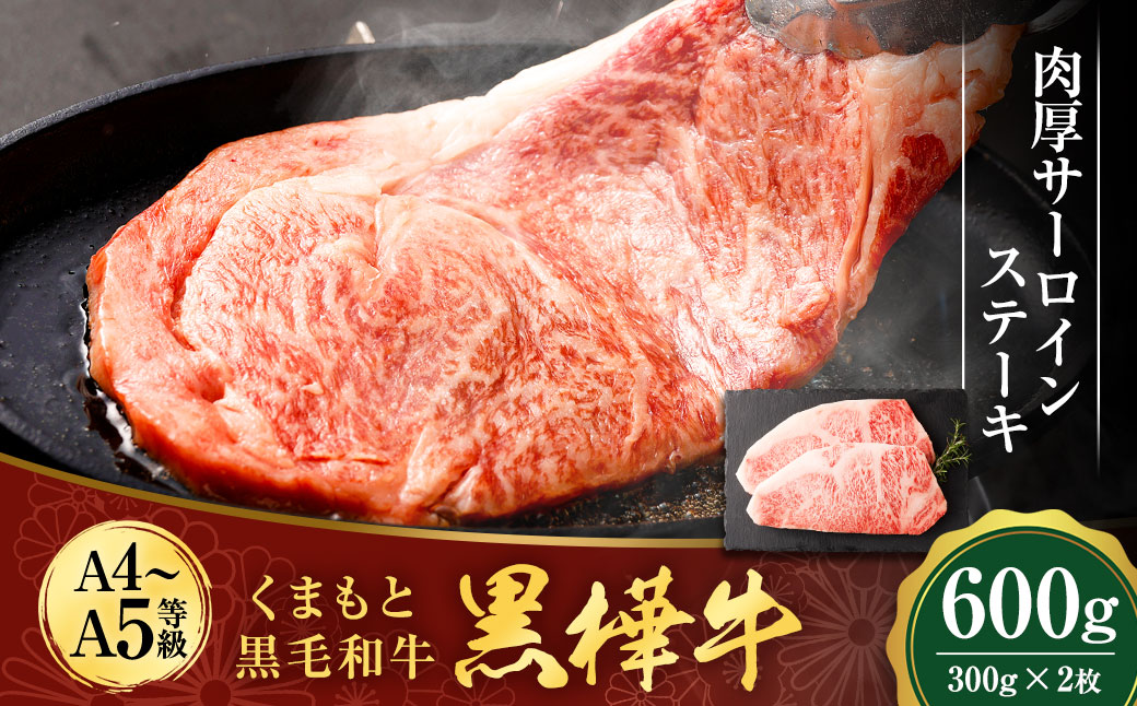 くまもと黒毛和牛 杉本本店 黒樺牛 A4~A5等級 肉厚サーロインステーキ 300g×2 計600g