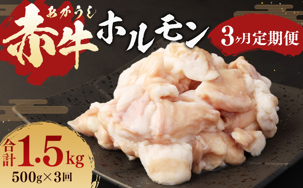【3ヶ月定期便】 赤牛 ホルモン 500g (250g×2パック) ×3回 牛肉 お肉 定期