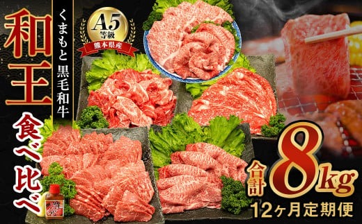 【12ヶ月定期便】 熊本県産 A5等級 黒毛和牛 和王 食べ比べ 合計約8kg 牛肉 セット