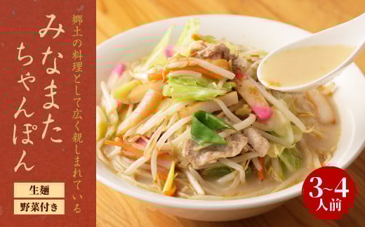 みなまた ちゃんぽん 3～4人前 生麺 野菜つき 具材セット 調理 水俣