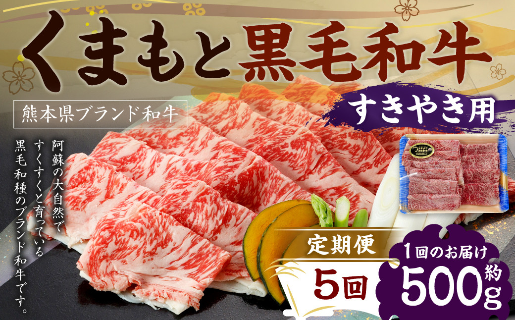 【定期便5回】 くまもと黒毛和牛 すきやき用 500g×1P
