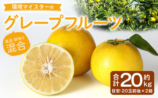 環境マイスターのグレープフルーツ 良品・訳あり混合 20kg