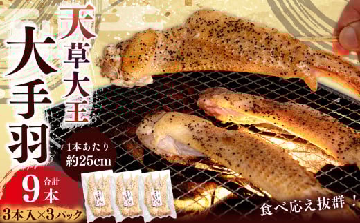 熊本 天草大王 大手羽 9本 （3本×3） 鶏肉 とり肉 鶏 お肉 肉 手羽 冷凍