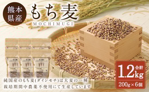 もち麦 計1.2kg（ 200g×6個 ） 水俣市 もち麦工房