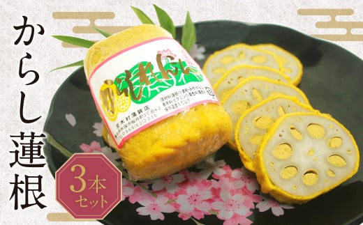 からし蓮根 3本入り セット 熊本名物 郷土料理 おつまみ