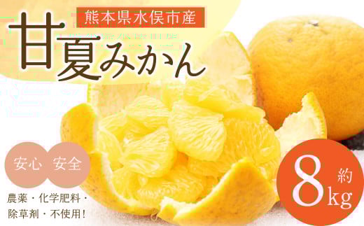 甘夏みかん 8kg みかん オレンジ 柑橘