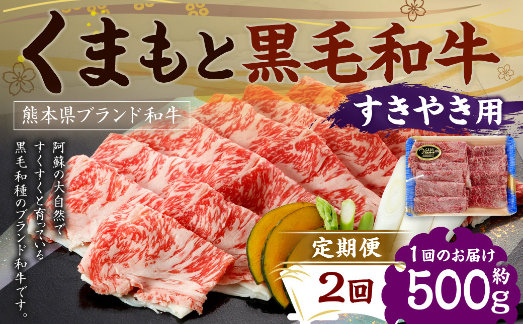 【定期便2回】 くまもと黒毛和牛 すきやき用 500g×1P