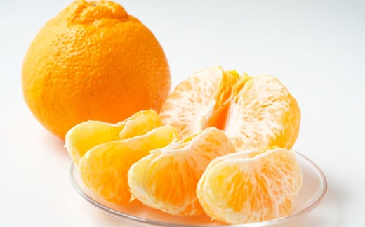 不知火（デコポン同品種）約10kg