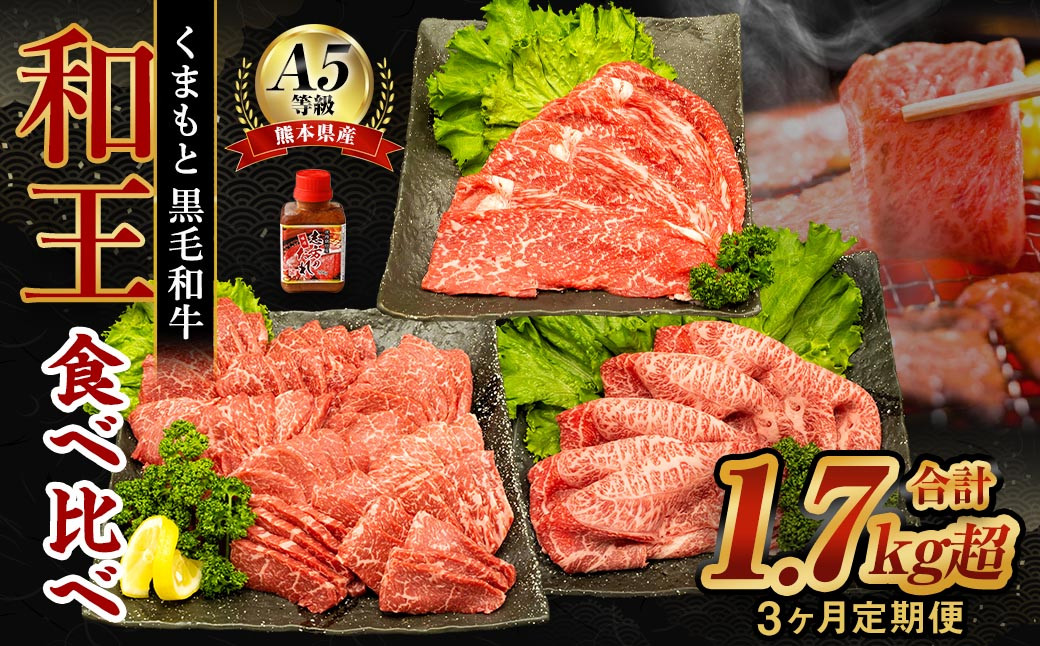 【3ヶ月定期便】 熊本県産 A5等級 黒毛和牛 和王 食べ比べ 合計約1750g 牛肉 セット