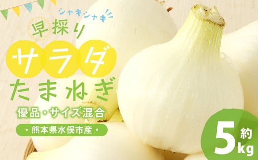 1年に1度だけ!甘くて柔らかい!早採りサラダ玉ねぎ 約5kg 優品 サイズ混合