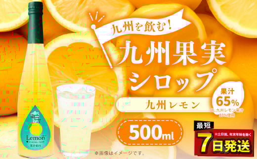 九州を飲む！九州果実 シロップ 九州レモン 500ml 1本 約25杯分 レモン フルーツ 果物 ジュース