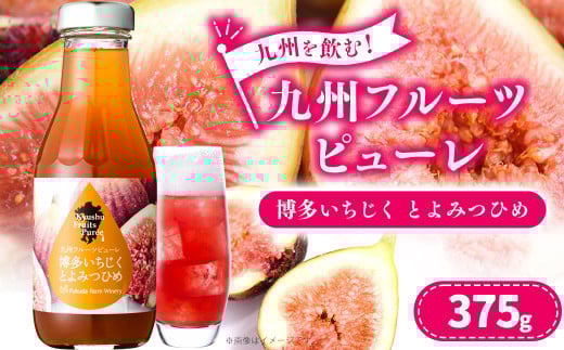 九州を飲む！九州 フルーツ ピューレ いちじくとよみつひめ 375g 1本 いちじく シロップ ソース カクテル