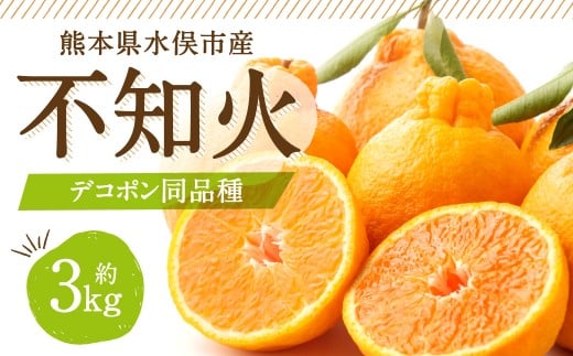 不知火（デコポン同品種）