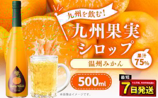 九州を飲む！九州果実 シロップ 温州みかん 500ml 1本 約25杯分 フルーツ 果物 ジュース