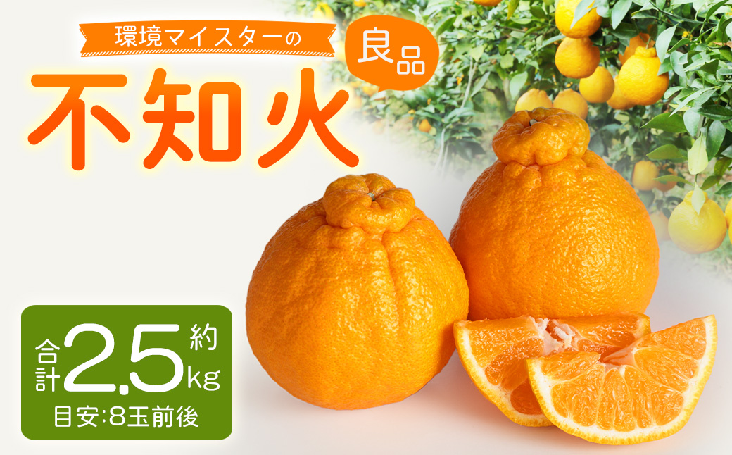 環境マイスターの不知火 良品 2.5kg