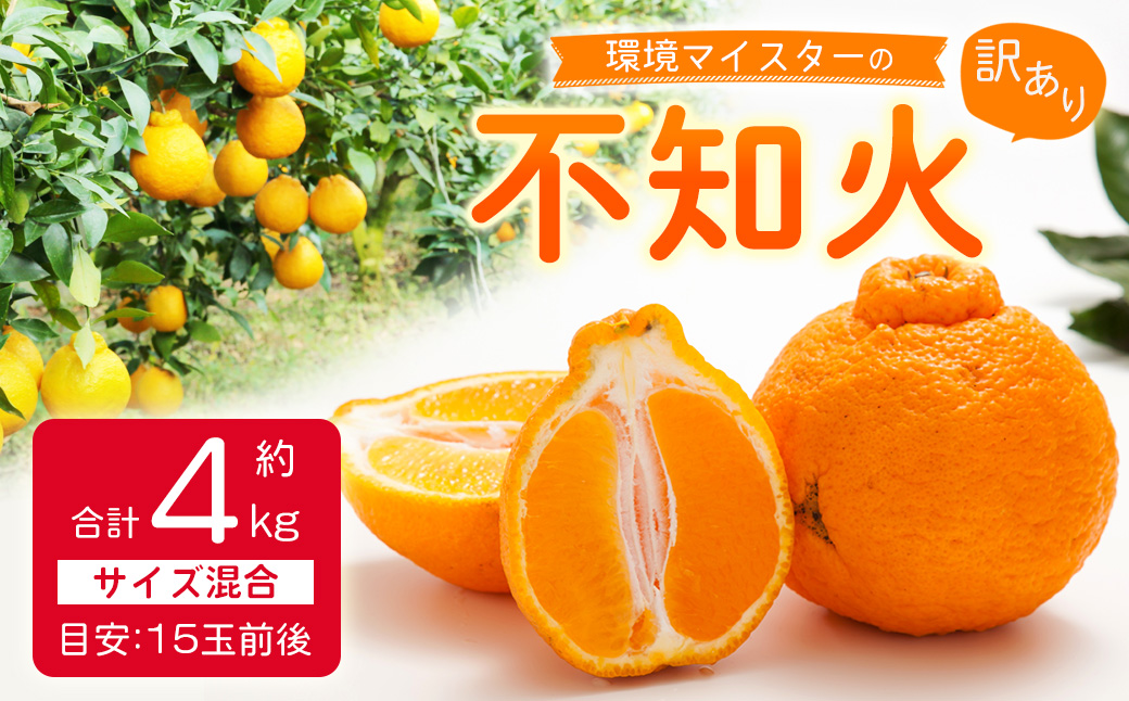 環境マイスターの不知火 訳あり 4kg