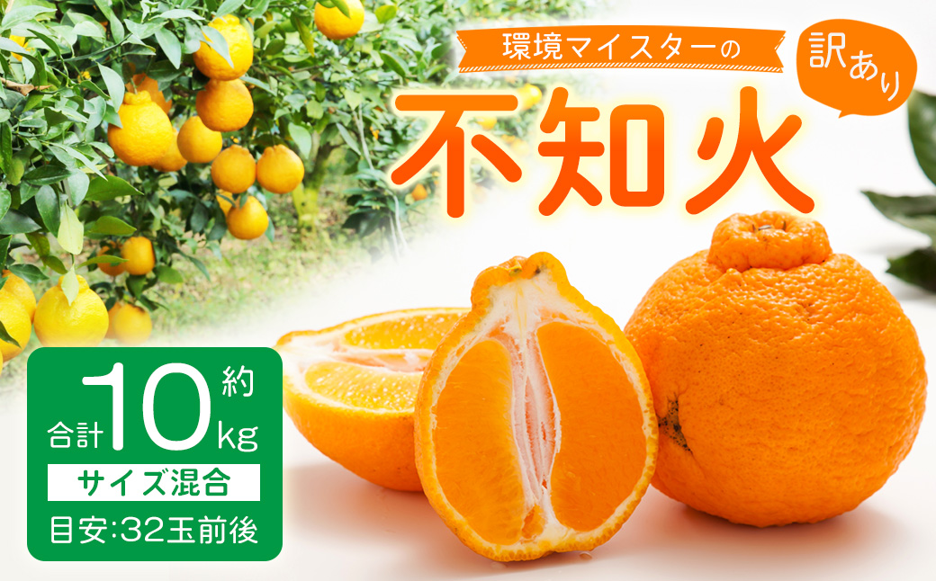 環境マイスターの不知火 訳あり 10kg