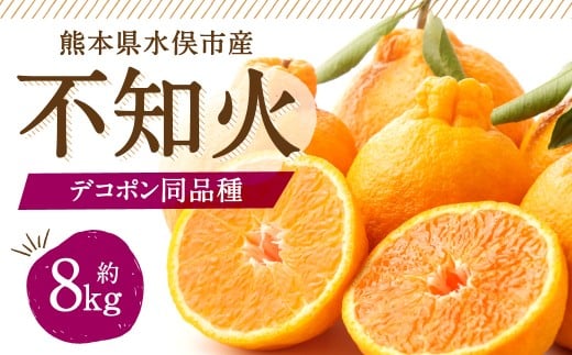 不知火（デコポン同品種）