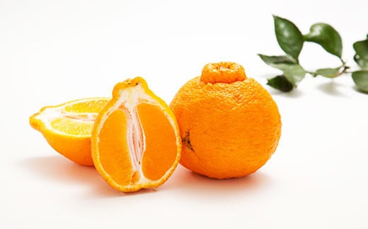 環境マイスターの不知火 訳あり 4kg