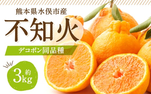 不知火（デコポン同品種）
