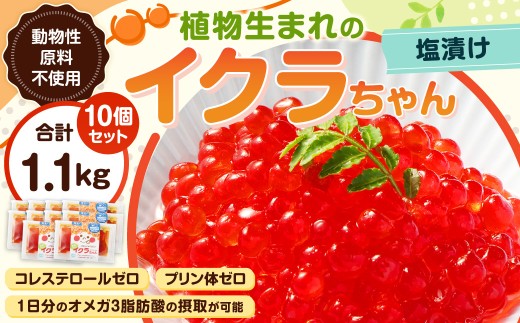 植物生まれのイクラちゃん 塩漬け 110g×10個