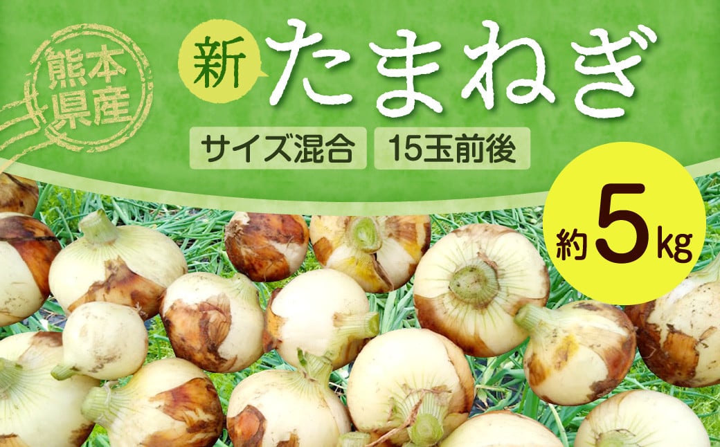 [2024年2月上旬発送開始] 熊本県産 新たまねぎ [サイズ混合 約5kg 15玉前後] 野菜