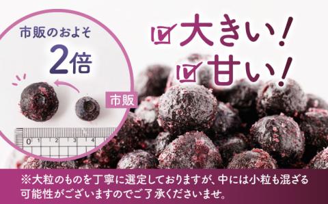【12回定期便】大粒 冷凍ブルーベリー 約2000g（約500g×4pc） 【すみれファーム】 [ZEP018]