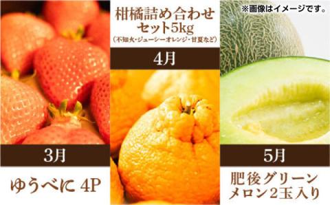 【先行予約】【全6回定期便】 プロが選ぶ！ 旬 の 果物 6ヶ月 定期便【くまふる】 フルーツ定期便 果物 くだもの 果物定期便  [ZBG004]