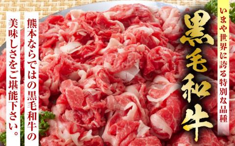 【6回定期便】熊本県産 黒毛和牛 切り落とし 計約1kg (約250g×4P) 小分け 国産 A4 A5 山鹿 【有限会社九州食肉産業】[ZDQ033]