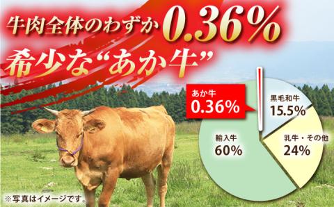 肥後の赤牛 ハンバーグ 約150g×10個【山鹿市（桜屋）】 赤牛 くまもと 熊本 ハンバーグ 冷凍 赤うし [ZBO002]