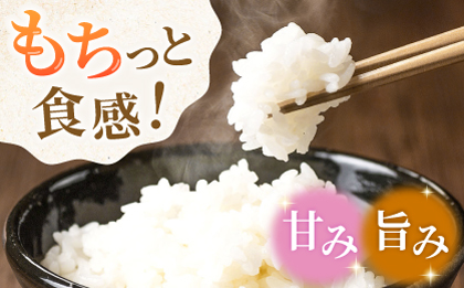 〈令和7年度新米〉 合鴨米 5kg 【あいがもん倶楽部】 新米 令和7年産 [ZAR026]
