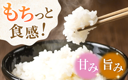 〈令和7年度新米〉 合鴨米 5kg×2 計10kg 【あいがもん倶楽部】 新米 令和7年産 [ZAR027]