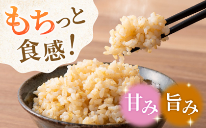 〈令和7年度新米〉 合鴨玄米 5kg 【あいがもん倶楽部】 新米 令和7年産 [ZAR028]