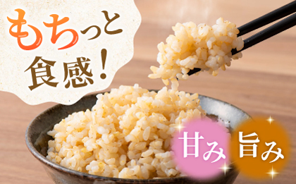 〈令和7年度新米〉 合鴨玄米 5kg×2 計10kg 【あいがもん倶楽部】 新米 令和7年産 [ZAR029]