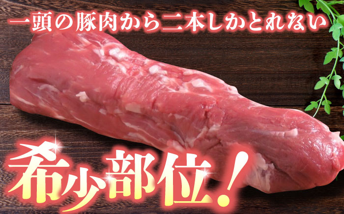 【6回定期便】豚帝  ヒレ ブロック 500g【KRAZY MEAT(小田畜産)】 [ZCP066]