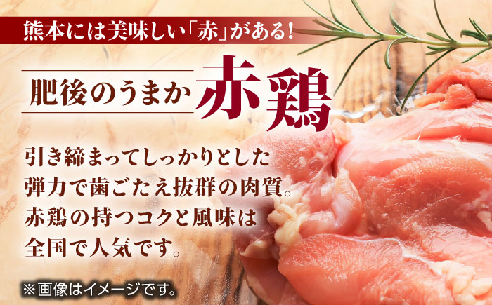 【6回定期便】肥後のうまか 赤鶏  5種食べ比べセット（モモ ささみ ムネ 手羽先 手羽元）各2kg【やまうちフード株式会社 熊本営業所】 国産 九州産  鳥 セット 肉  [ZAB013]