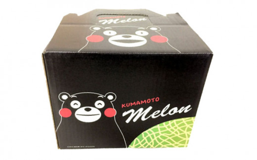 【先行予約】アールスメロン 約1.7kg～1.9kg （3Lサイズ1玉入り）【鹿本農業協同組合】 [ZAG004]