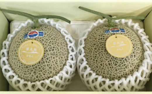 【先行予約】アールスメロン 約3.4kg～3.8kg （3Lサイズ2玉入り）【鹿本農業協同組合】 [ZAG005]