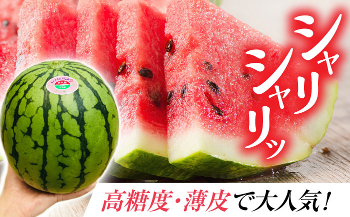 小玉 すいか 2玉入（1玉 約1.8kg～2.8kg）【鹿本農業協同組合】 [ZAG009]