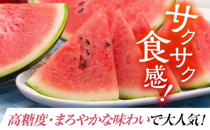 夢大地かもと すいか 2玉 Ｍサイズ（1玉 約5kg～5.8kg）【鹿本農業協同組合】 [ZAG011]