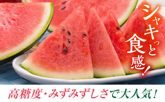 夢大地かもと すいか 2玉 Ｌサイズ（1玉 約6kg～6.8kg）【鹿本農業協同組合】 [ZAG012]