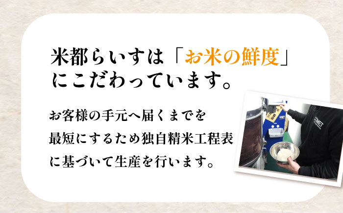 【3回定期便】 菊鹿 棚田米 20kg 【ミヤタ 株式会社 】   米 こめ お米 ご飯 精米 熊本県産 山鹿市  [ZAH012]