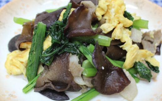 乾燥 きくらげ セット 45g×2袋、20g×5袋【株式会社 地の塩社】 [ZAN002]