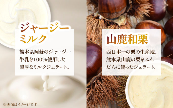 ジェラート 18個入り （ジャージーミルク、山鹿和栗、岳間抹茶、塩キャラメル、ショコラ、洒落柿クリームチーズ 各3個） （各100ml） 【株式会社パストラル】 [ZAR004]